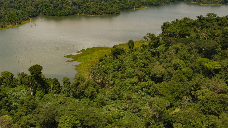 Amazonas elovilaga 2