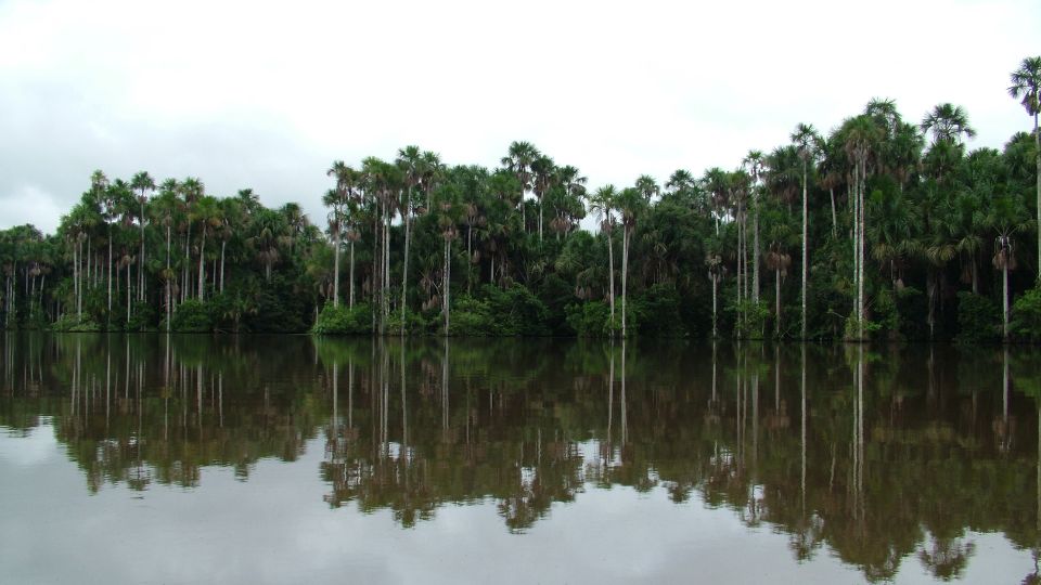 Amazonas elovilaga 3
