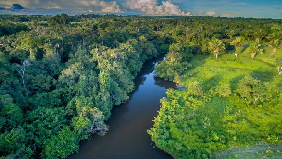 Az Amazonas dzsungel zöldellő fái és a folyó kanyarulatai a levegőből.