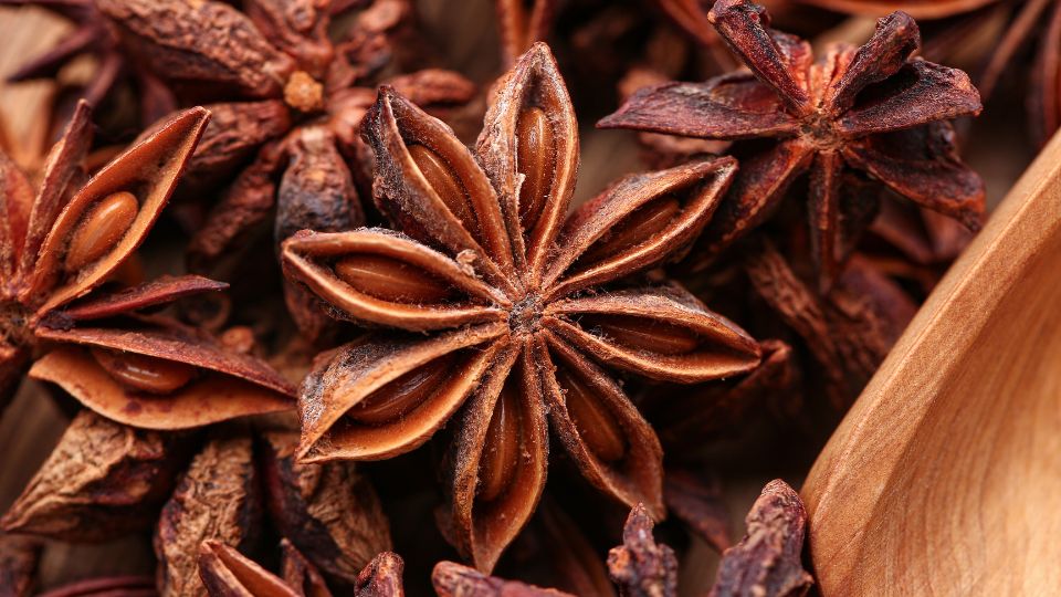 Csillaganizs Illicium verum 2