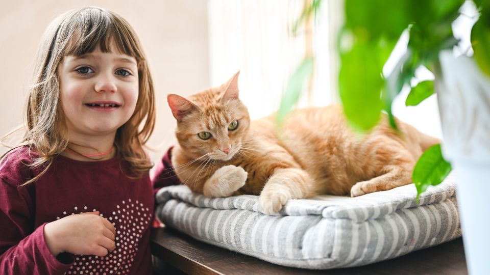 Egy kislány mosolyogva ül egy macska mellett, aki kényelmesen fekszik.