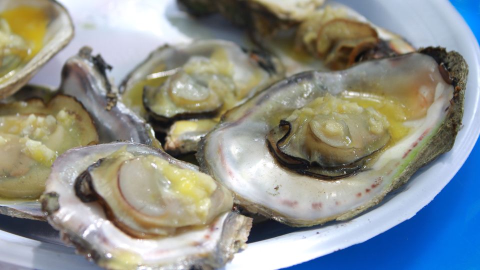 Csendes oceani osztriga Crassostrea gigas 1