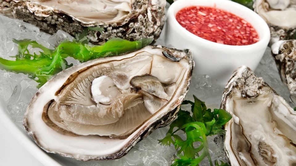Csendes oceani osztriga Crassostrea gigas 2