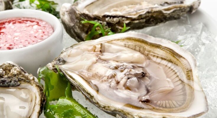 Csendes oceani osztriga Crassostrea gigas
