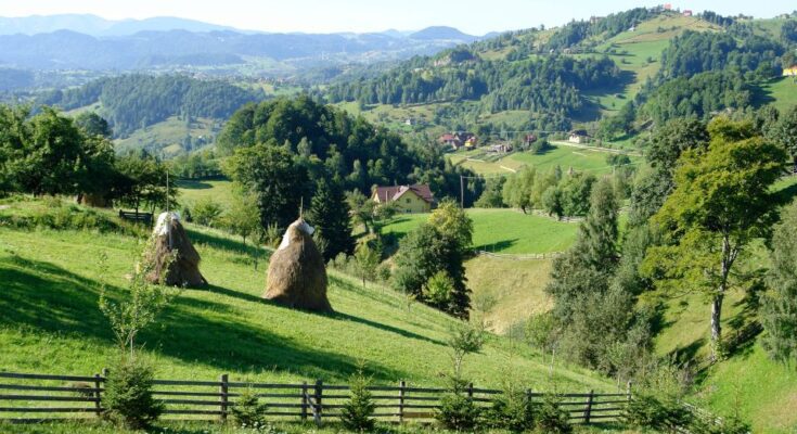 Erdely allatvilaga