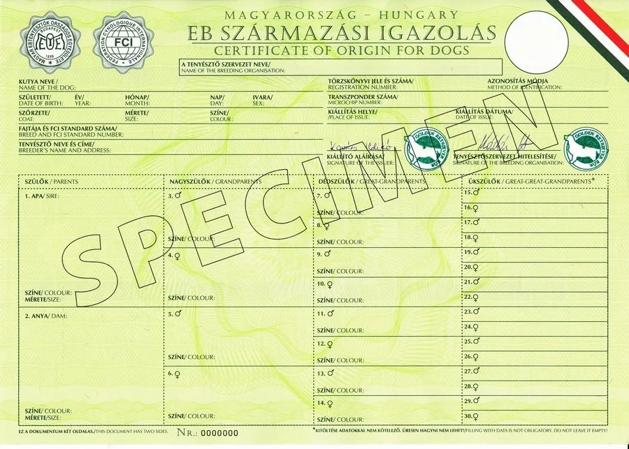 Egy kutya törzskönyv, amely tartalmazza a kutya adatait és származását.