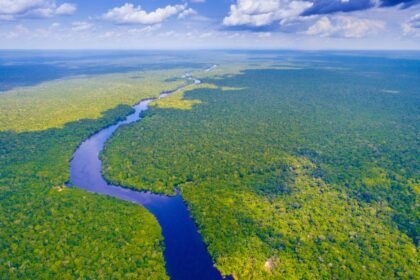 Légi felvétel Brazília buja dzsungeléről és kanyargó folyóiról.