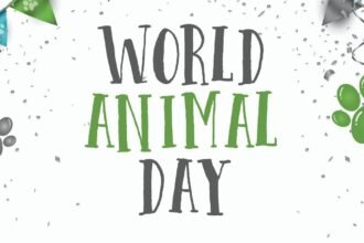 A Világállatnap ünneplését jelképező színes grafika, konfetti és állatnyomokkal.