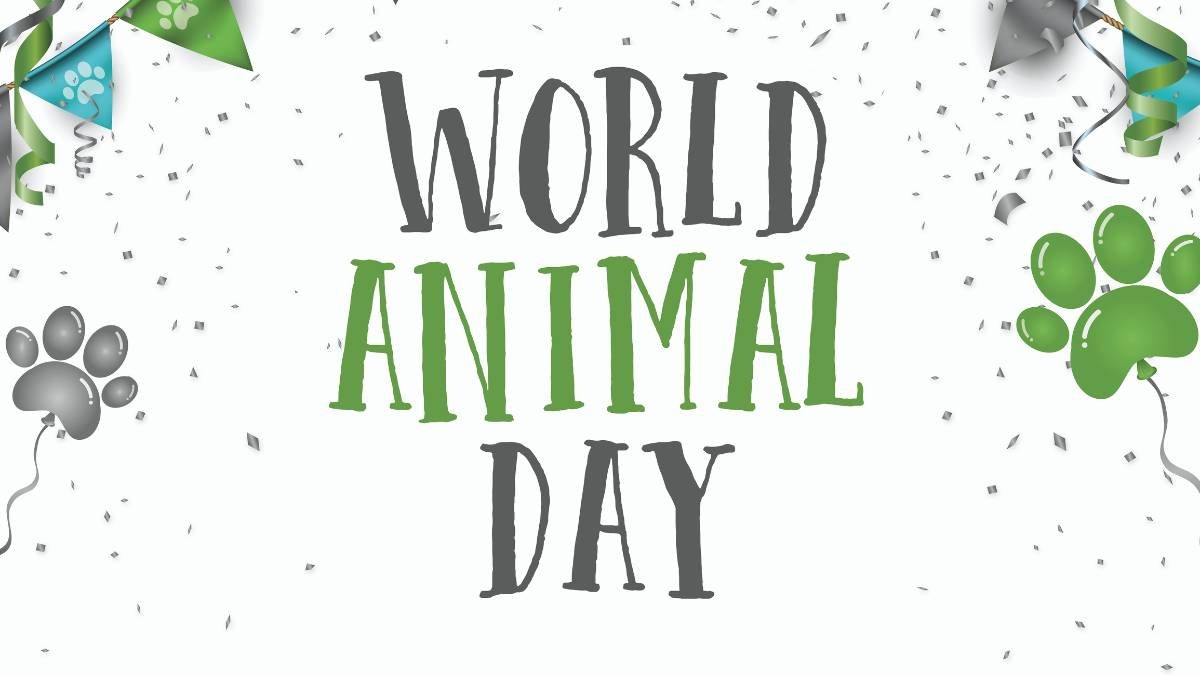 A Világállatnap ünneplését jelképező színes grafika, konfetti és állatnyomokkal.