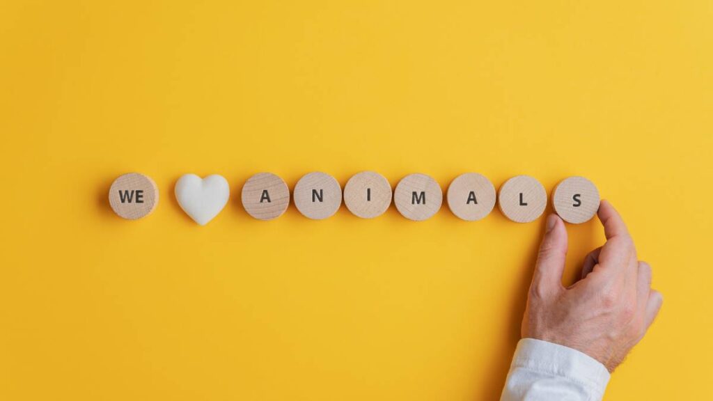 Egy kéz, amely fából készült betűkkel és egy szívvel az 'WE LOVE ANIMALS' feliratot formázza sárga háttéren.