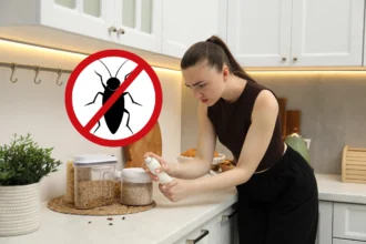 Csótányok elleni hosszú távú védekezés vizuálisan bemutatva lakásban, környezettudatos megoldásokkal